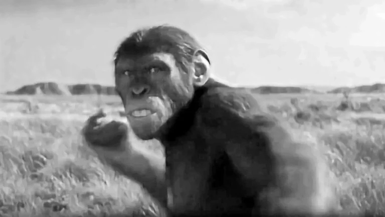 Stone age men